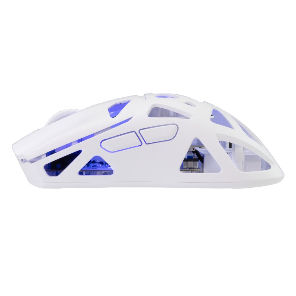 white shark dagonet бяла | JAR Computers white shark dagonet бяла