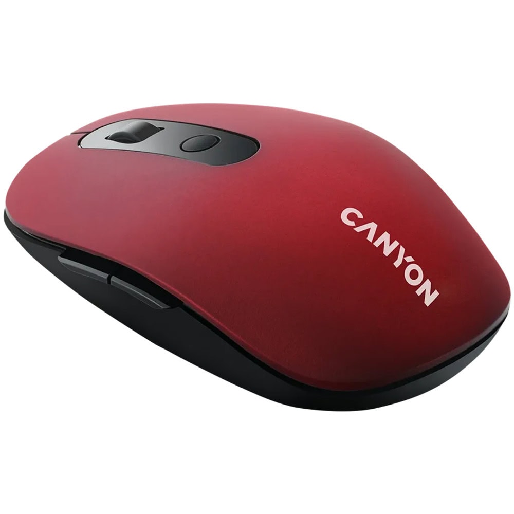 Canyon CNS-CMSW09R