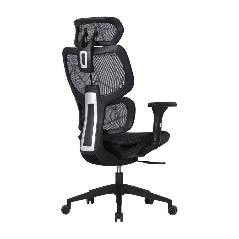 Canyon Ventra MOCH01 CNS-MOCH01