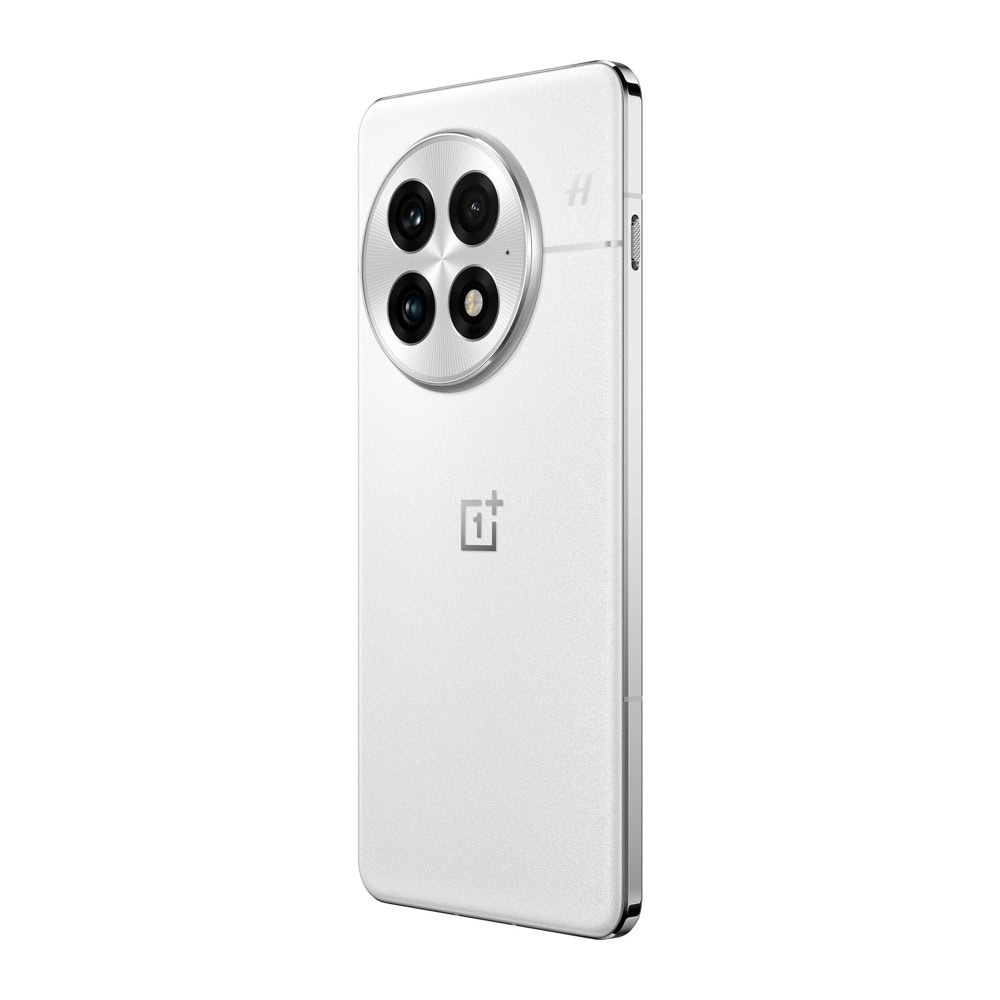 OnePlus 13 16GB/512GB Arctic Dawn 5011110312