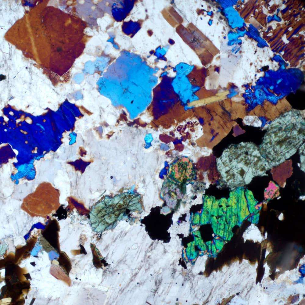 MAGUS Pol D800 LCD LV83041