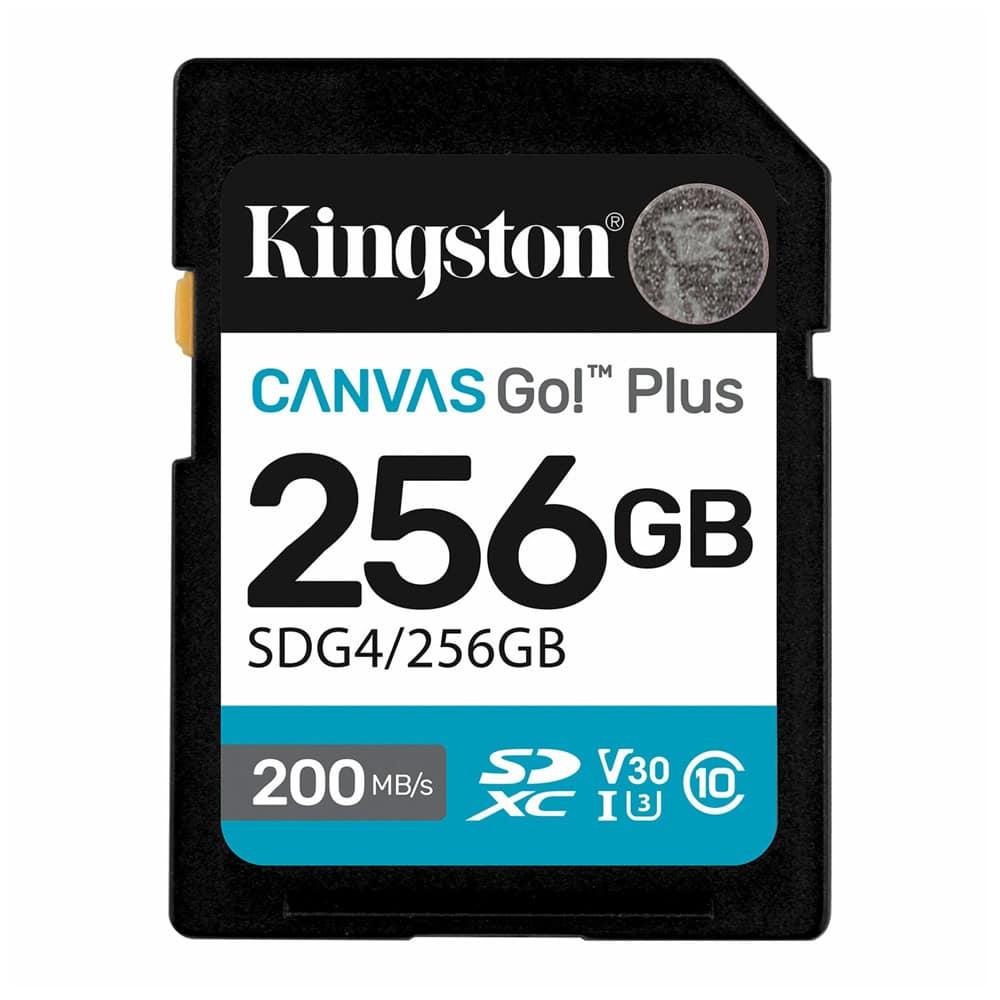 Kingston 256GB Canvas Go! Plus Gen4 SDG4/256GB