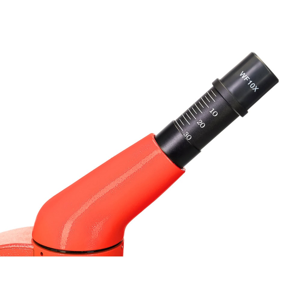 Levenhuk Rainbow 50L Red LV69128