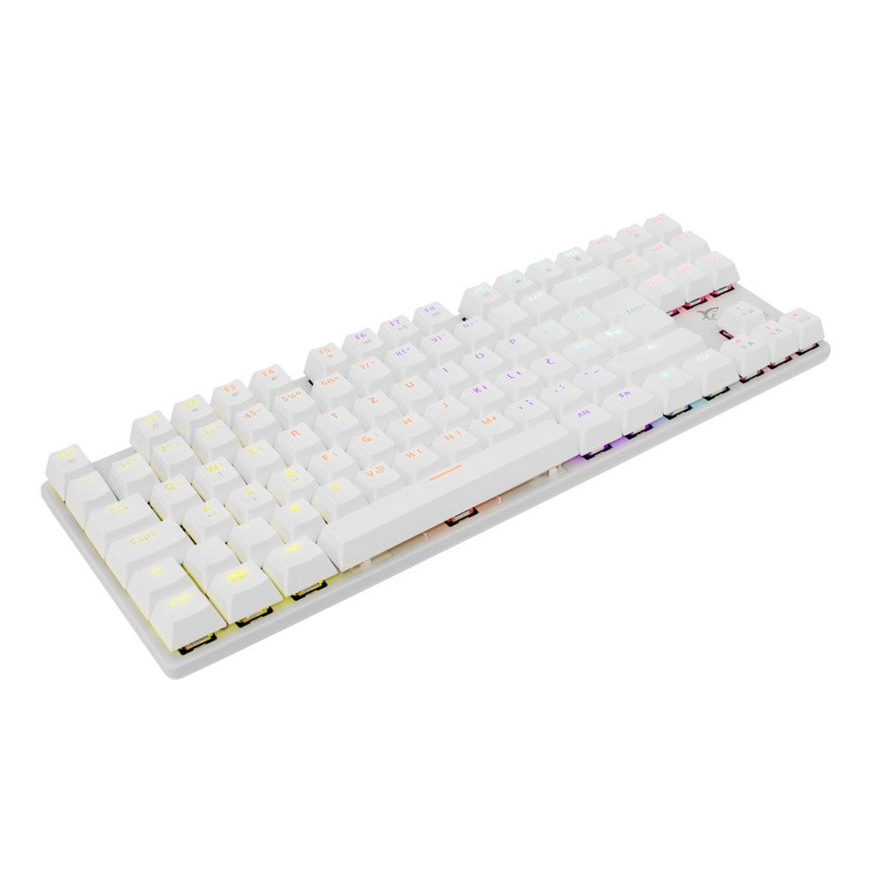 white shark GK-2106WB