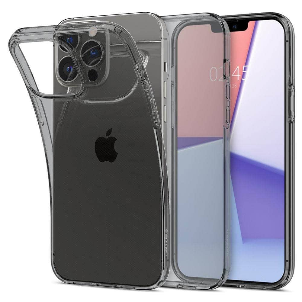 ACCGSPIGEN53700