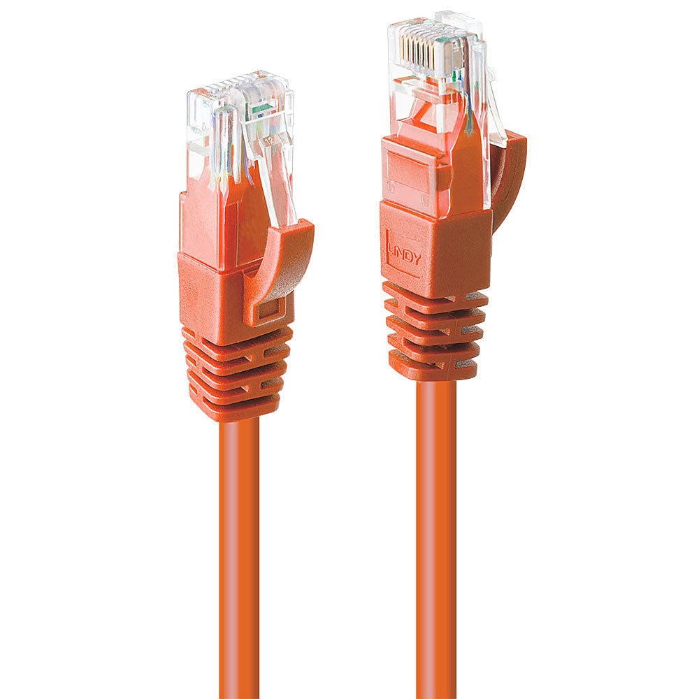 CNCPTLNY48114
