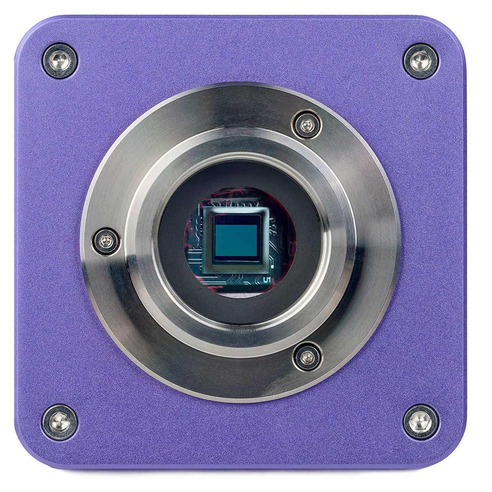 MAGUS Stereo D7T BASE