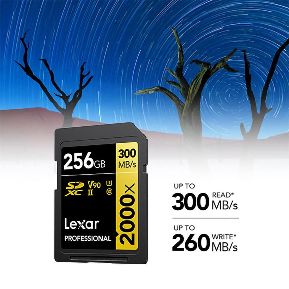 Lexar 256GB Professional 2000X LSD2000256G-BNNNG