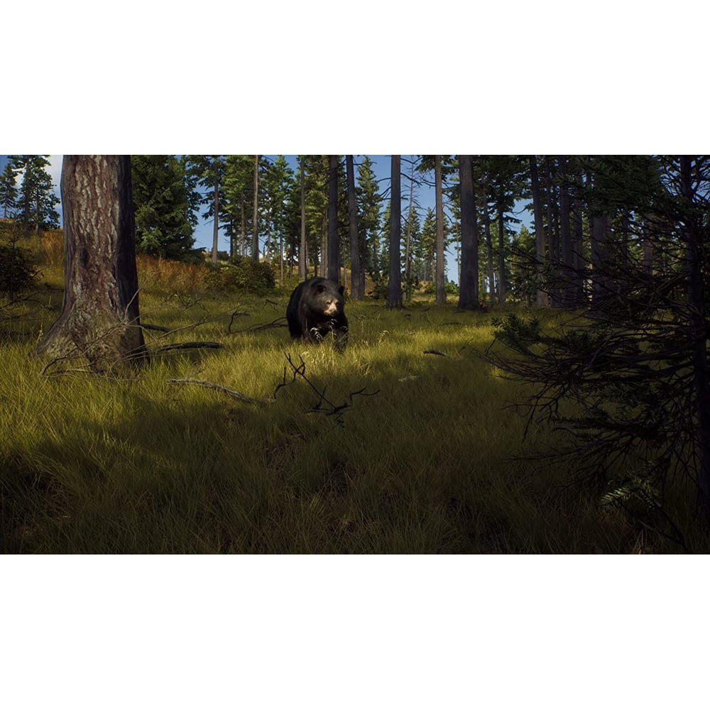 Way of the Hunter (Xbox One/Series X)