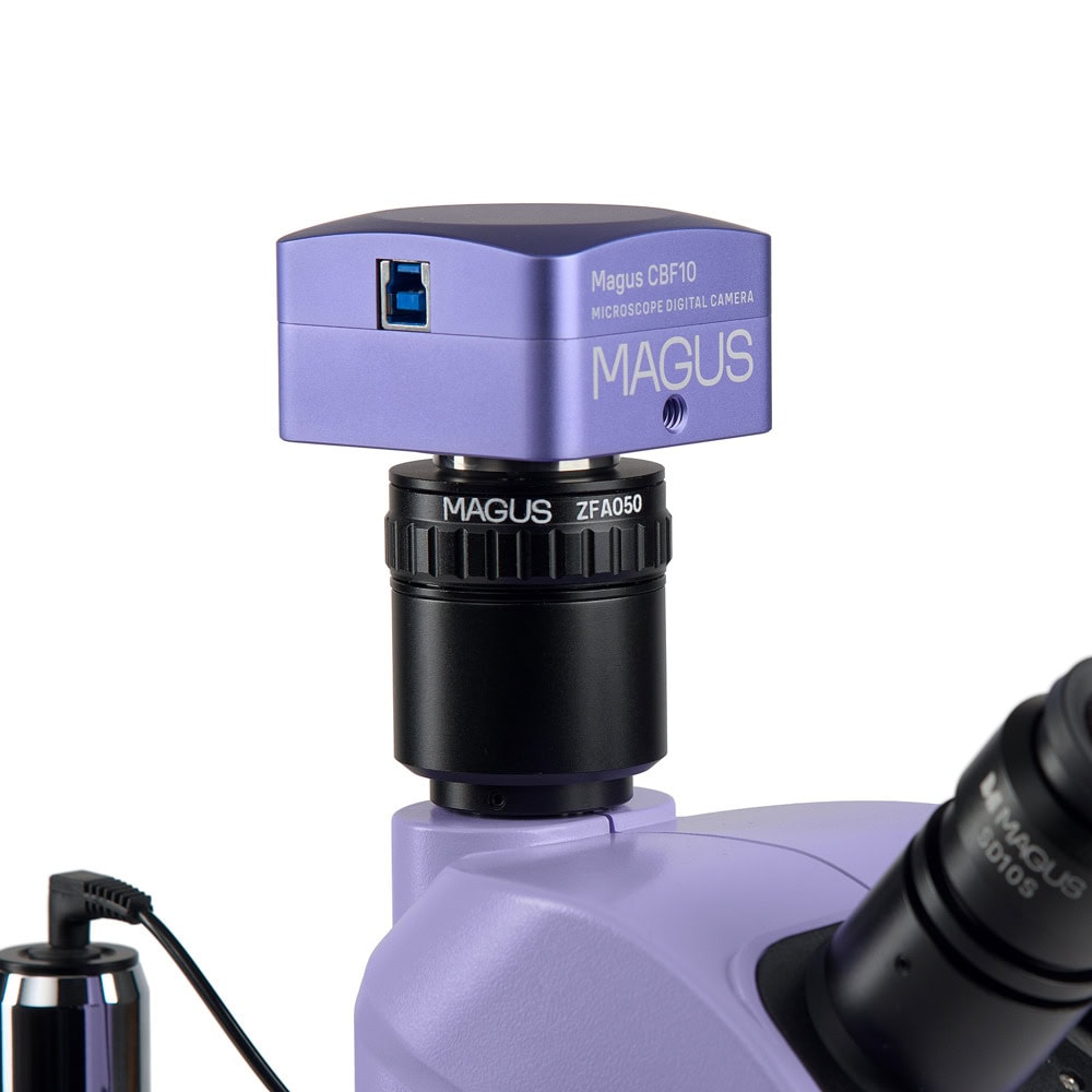 MAGUS Stereo D8T BASE
