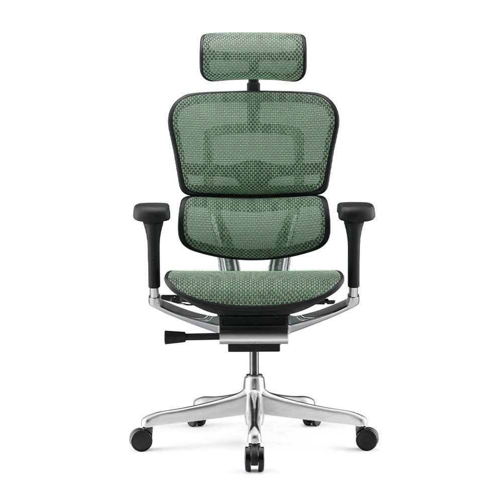 Antares ERGOHUMAN 2 LUXURY Green