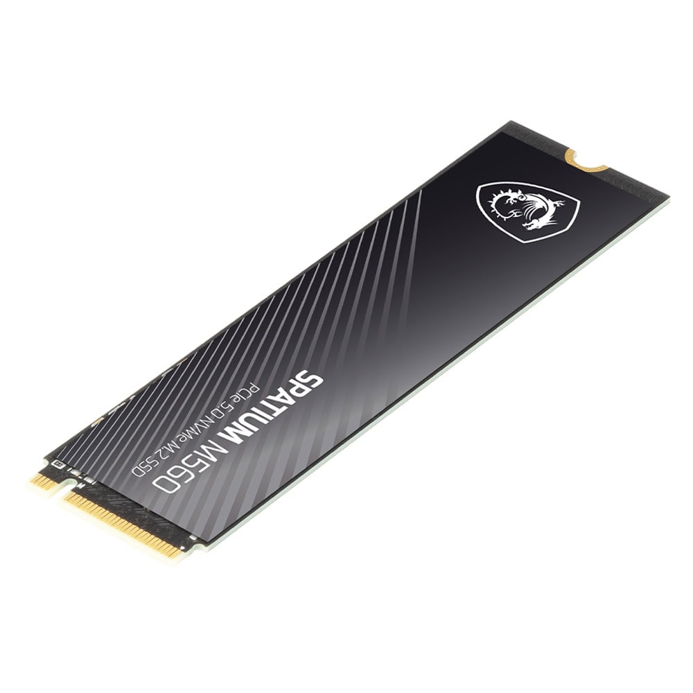 MSI SPATIUM M560 2T PCIE5.0