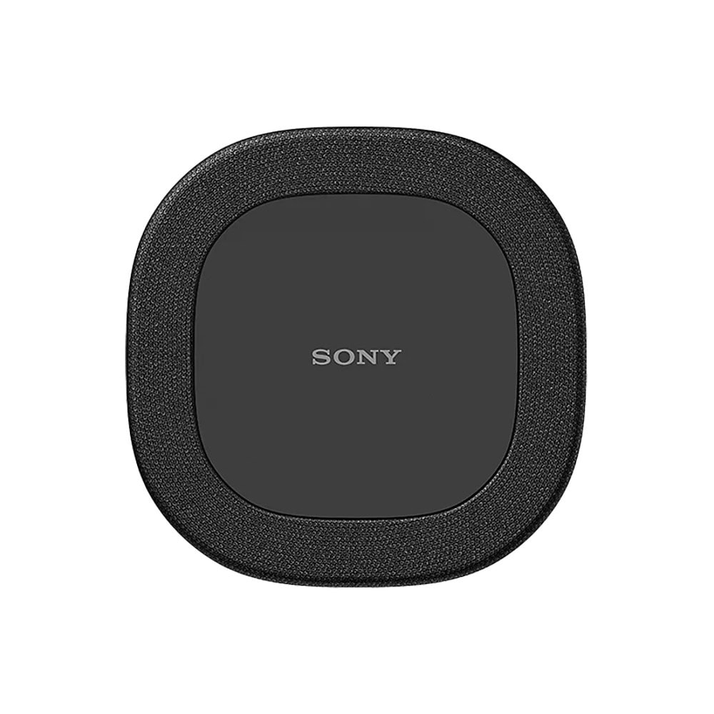 Sony Bravia Theatre Rear 8 SARS8.CEJ