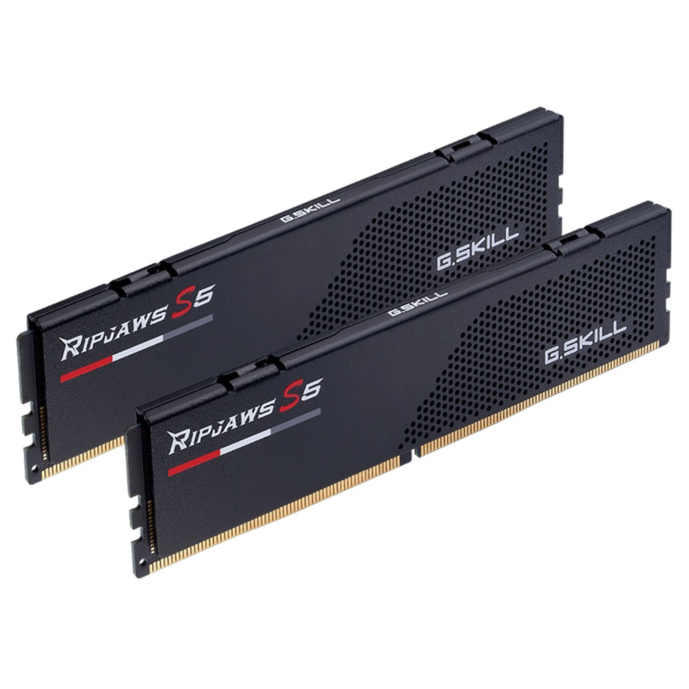 G.Skill 32GB(2x16GB) DDR5 F5-6000J3238F16GX2-RS5K