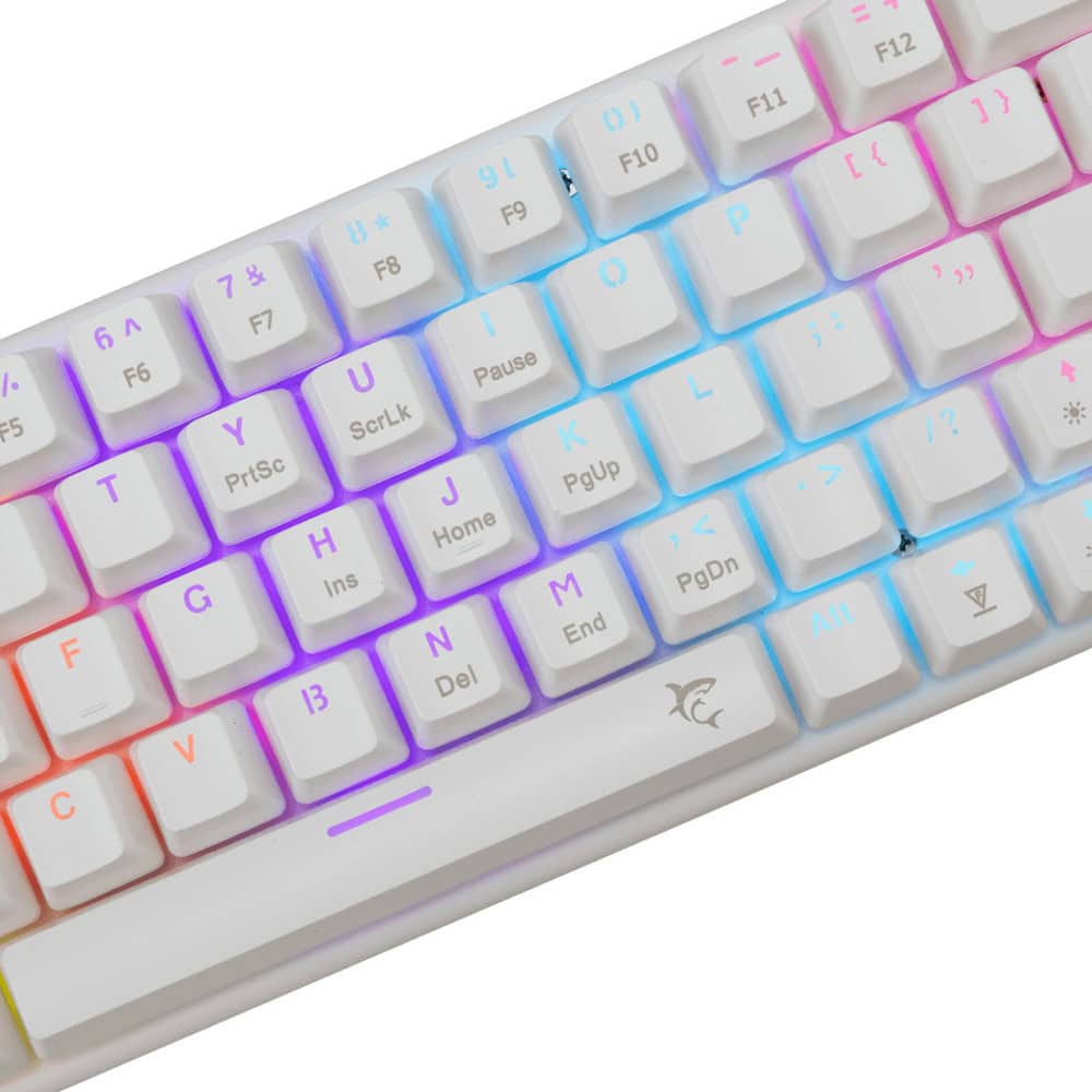 White Shark WAKIZASHI 2 White Blue switches