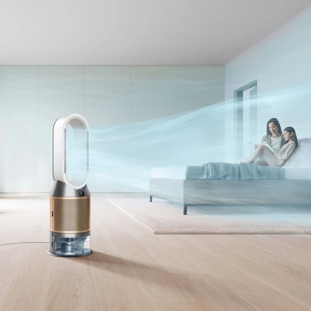 Dyson 545007-01