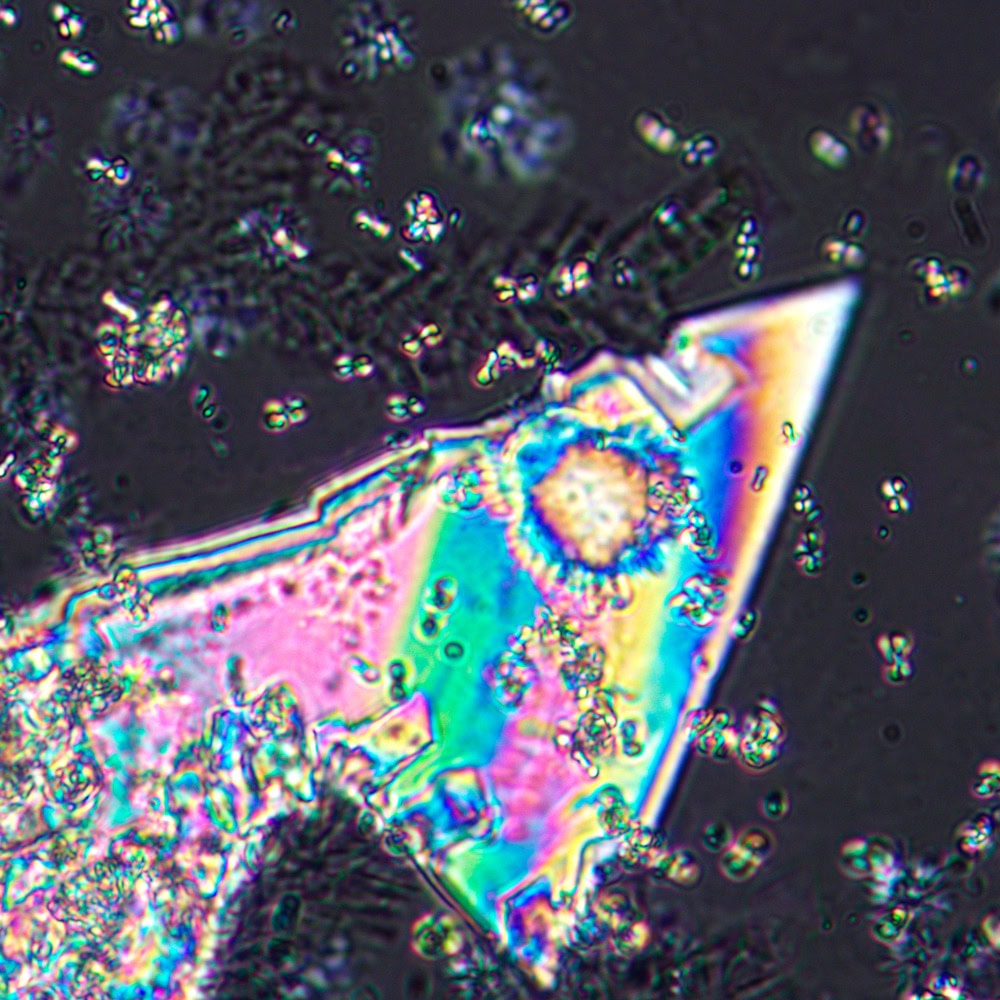 MAGUS Pol D800 LV83040