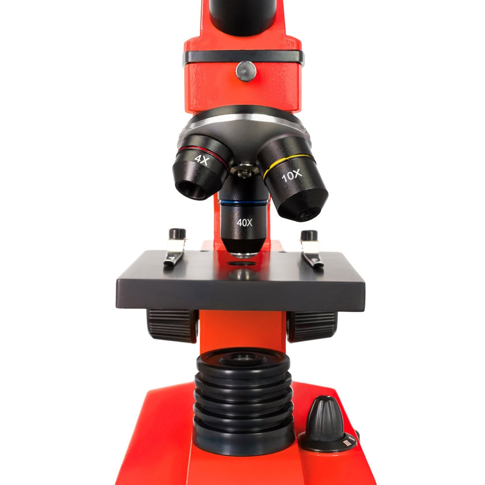 Levenhuk Rainbow 2L PLUS Red LV69121