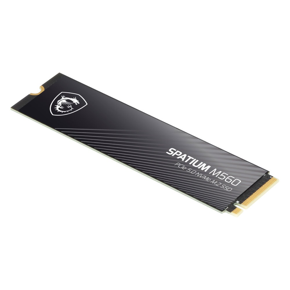 MSI SPATIUM M560 2T PCIE5.0