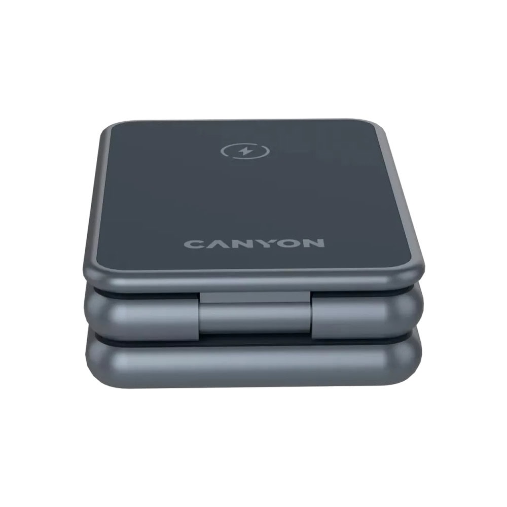 Canyon OnCharge 309 CNS-WCS309M