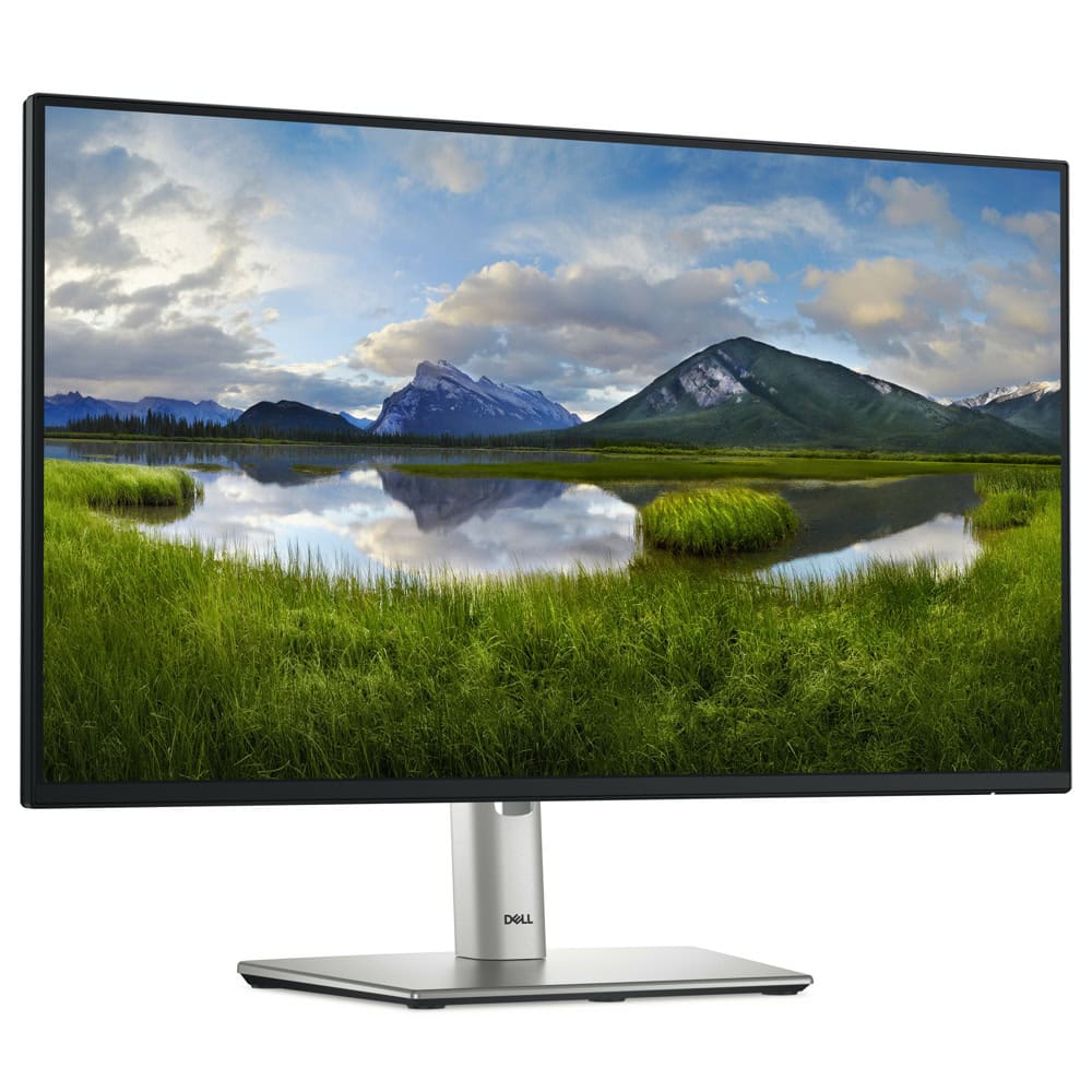 Dell P2425HE