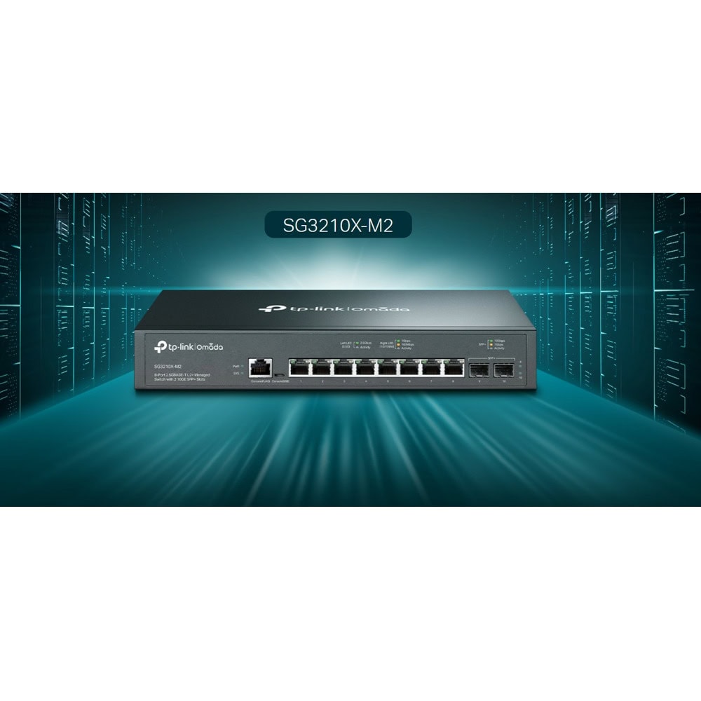 TP-Link Omada SG3210X-M2