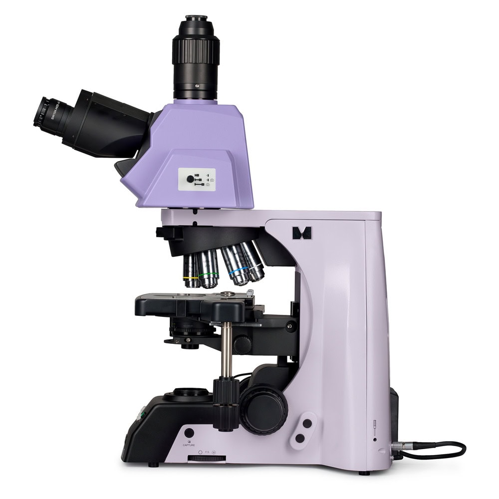 MAGUS Bio 290T