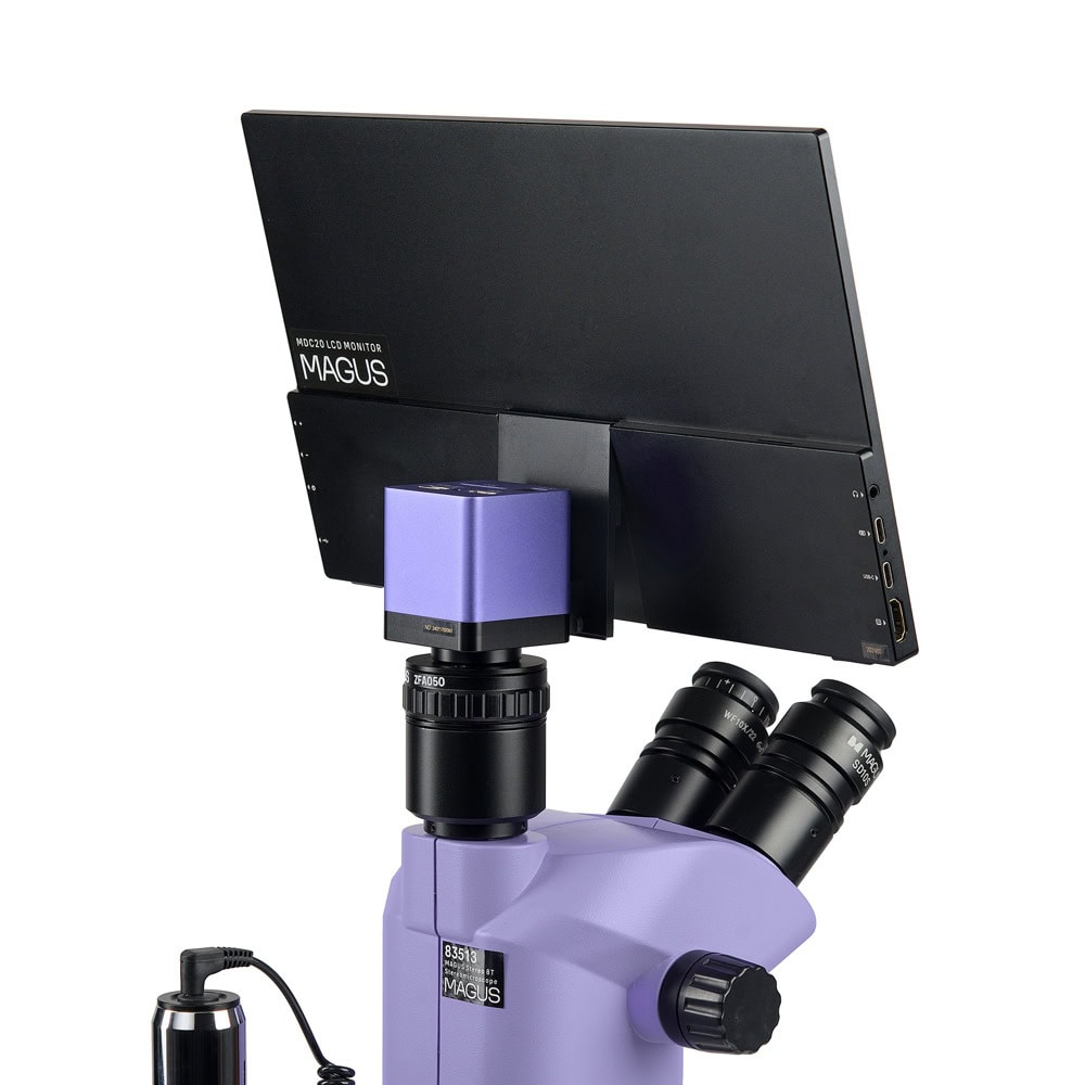 MAGUS Stereo D8T LCD BASE