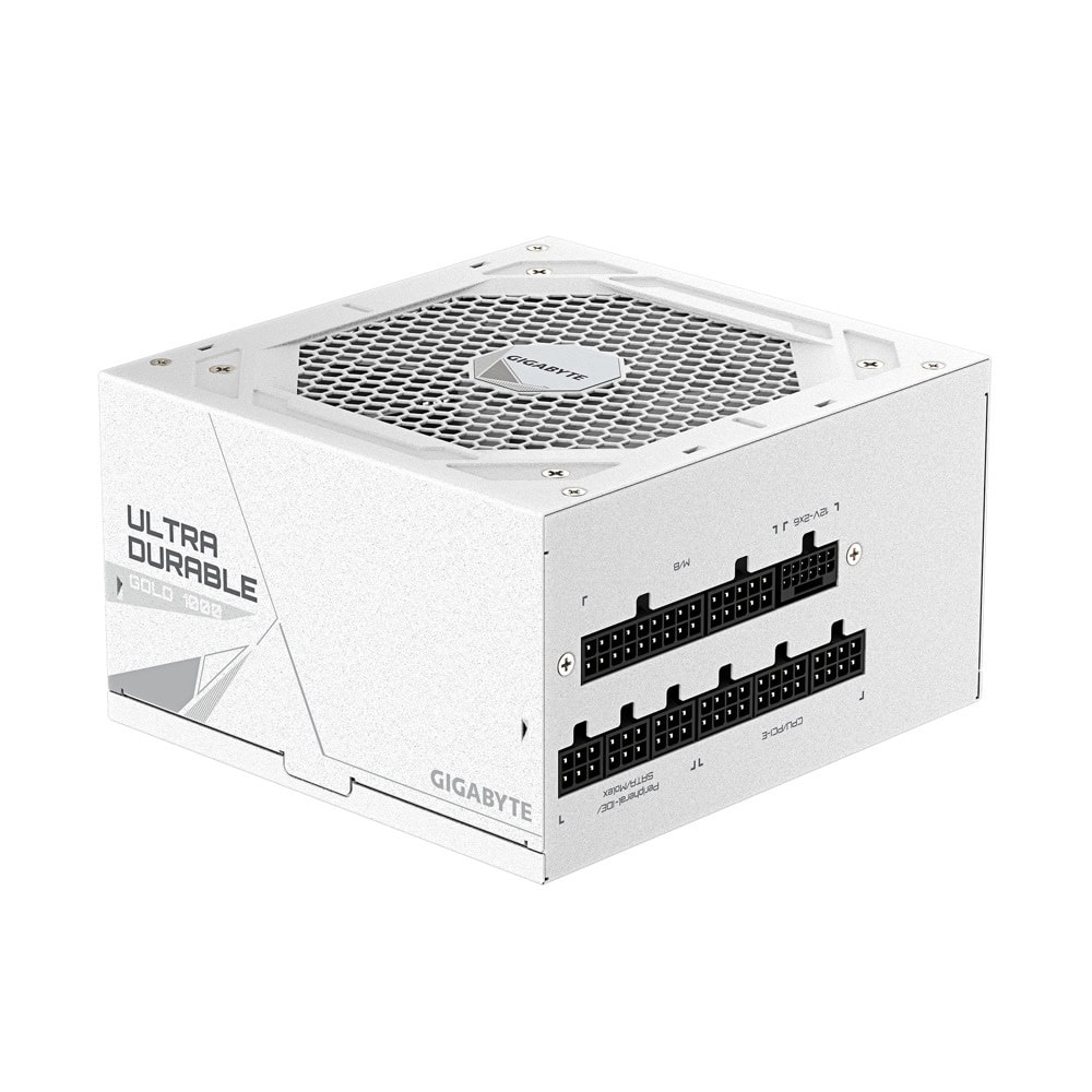 Gigabyte UD1000GM PG5 V2 GP-UD1000GM PG5 V2 ICE