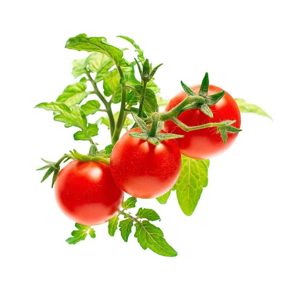 семена click and grow мини домати 3 броя