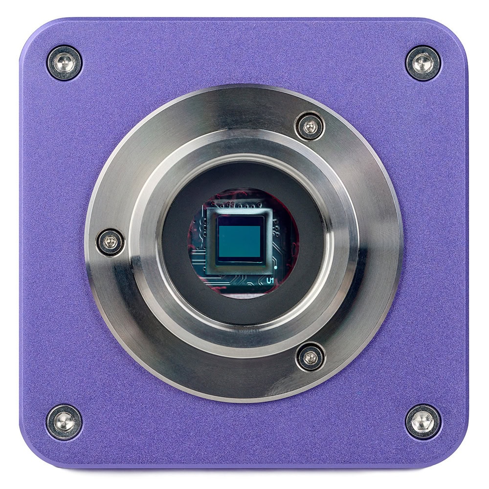MAGUS Stereo D8T BASE