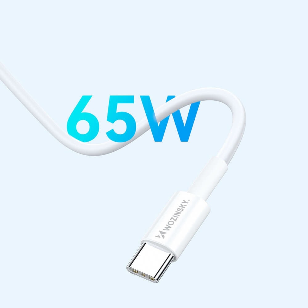 wozinsky gan 65w бял