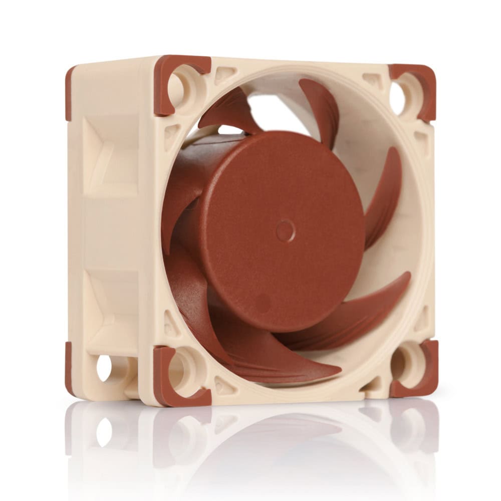 FANCSNOCTUANFA4X205V