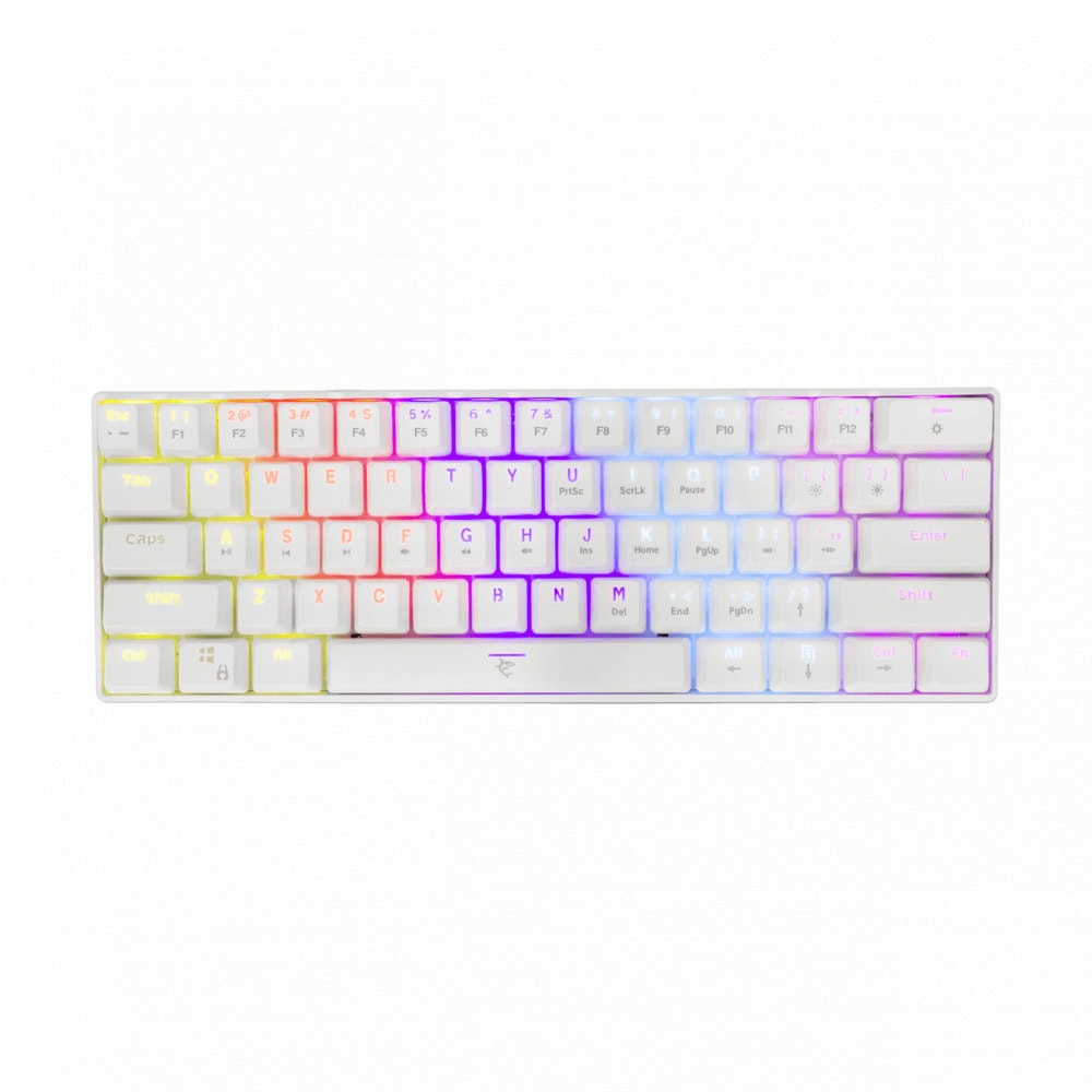 KBWHITESHARKSBX00271