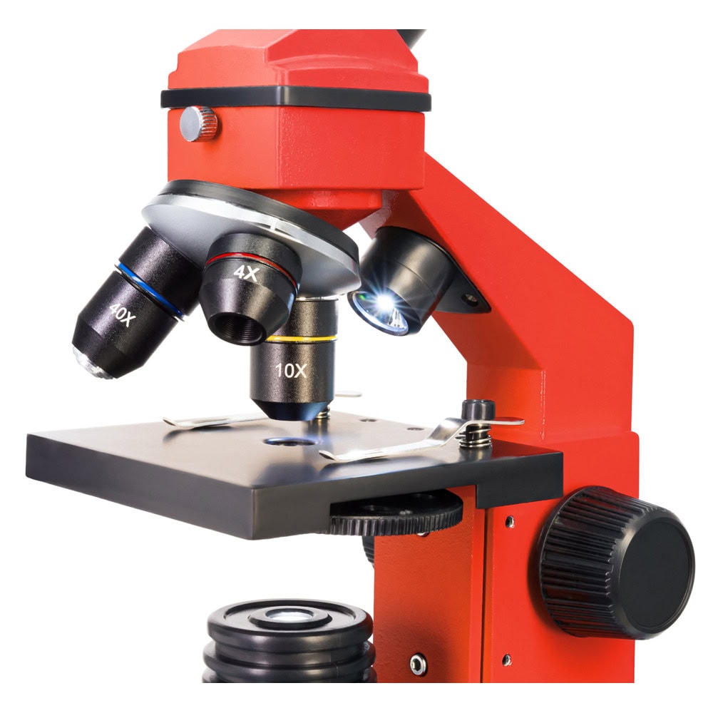 Levenhuk Rainbow 2L PLUS Red LV69121