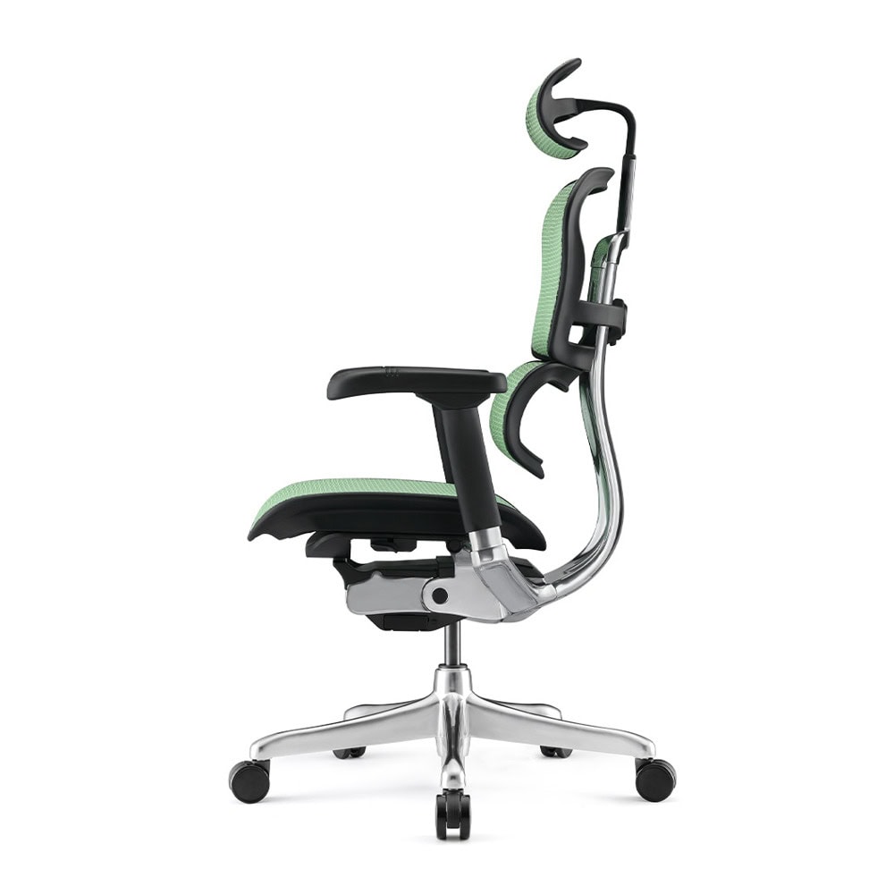 Antares ERGOHUMAN 2 LUXURY Green