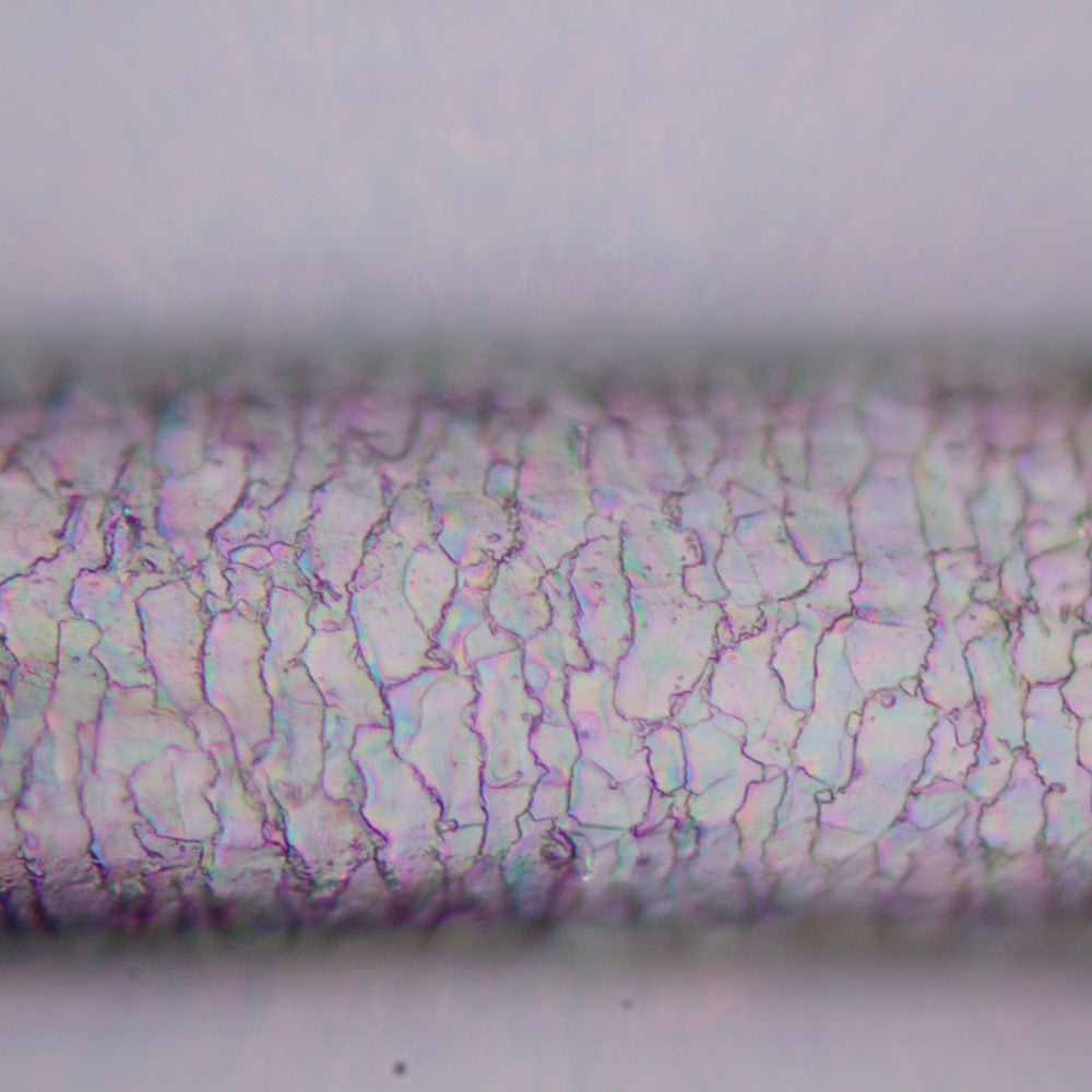 MAGUS Pol D800 LCD LV83041