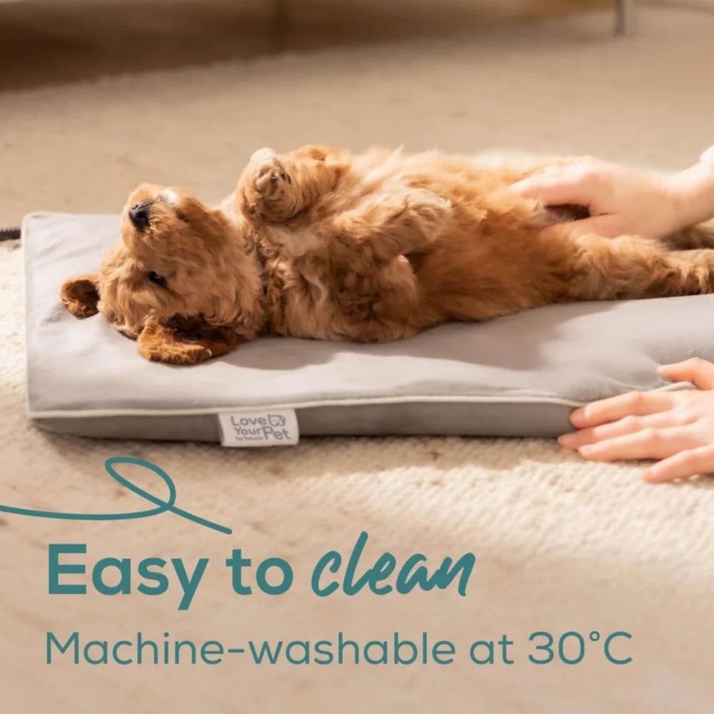 Beurer PP 210 Lilli 10545_BEU