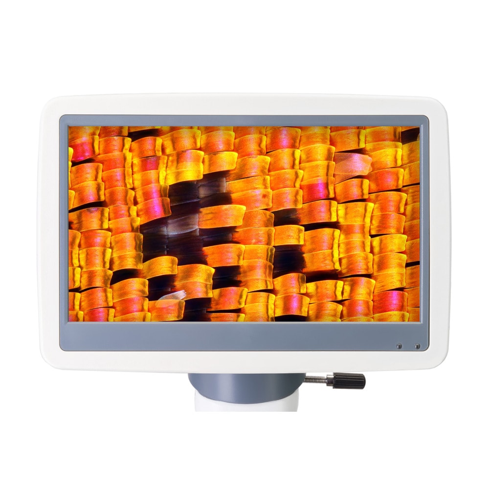 Levenhuk D95L LCD LV78903