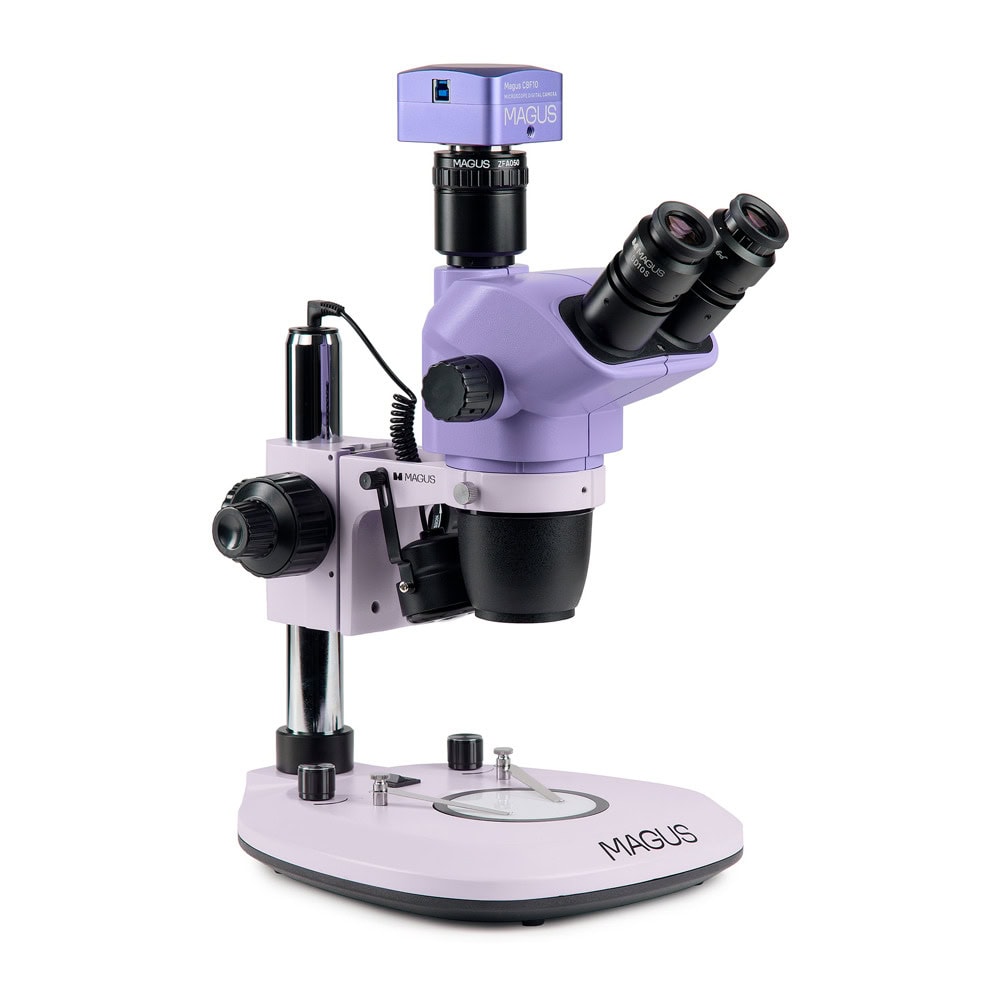 MAGUS Stereo D8T BASE