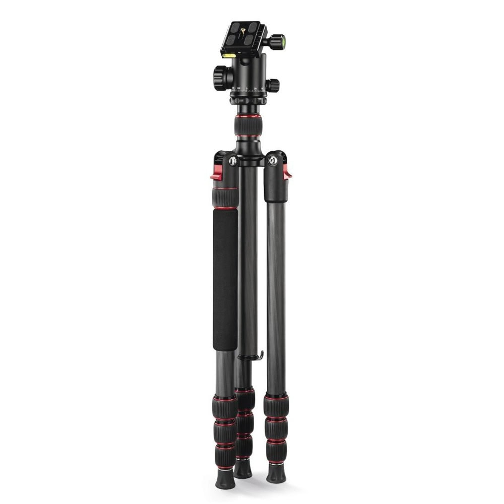 hama ramble ii duo carbon
