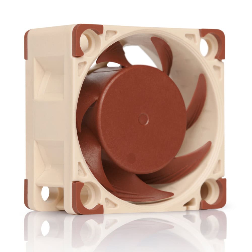 FANCSNOCTUANFA4X20FLX