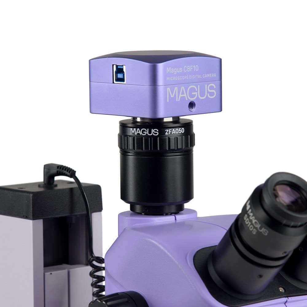 MAGUS Stereo D7T BASE
