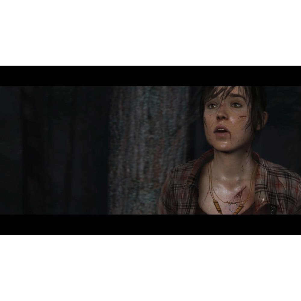 Heavy Rain and Beyond Two Souls Collection