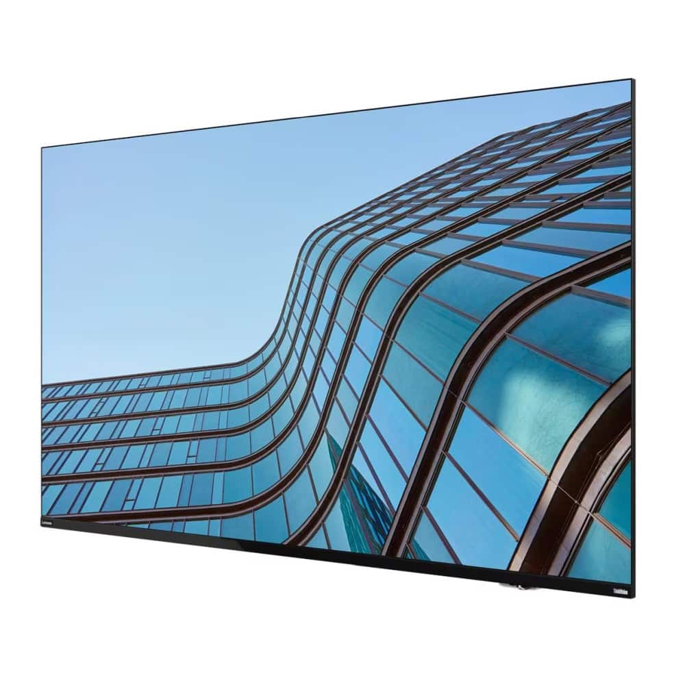 Lenovo ThinkVision E55 LFD 64A9GAT1EK