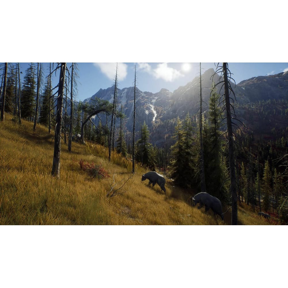 Way of the Hunter - Hunting Season One Xbox Ser X