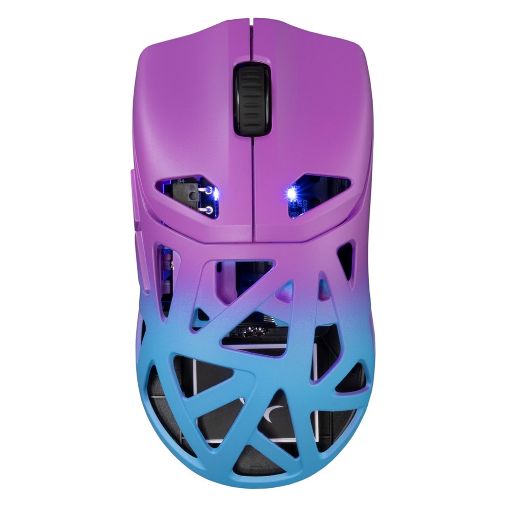 MOWHITESHARKDAGONETBLP