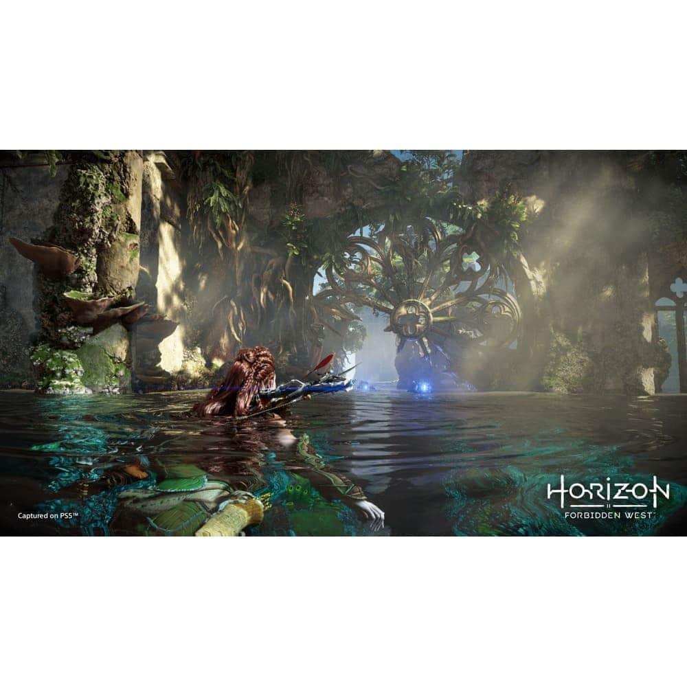 Horizon Forbidden West - CE (PS4/PS5)