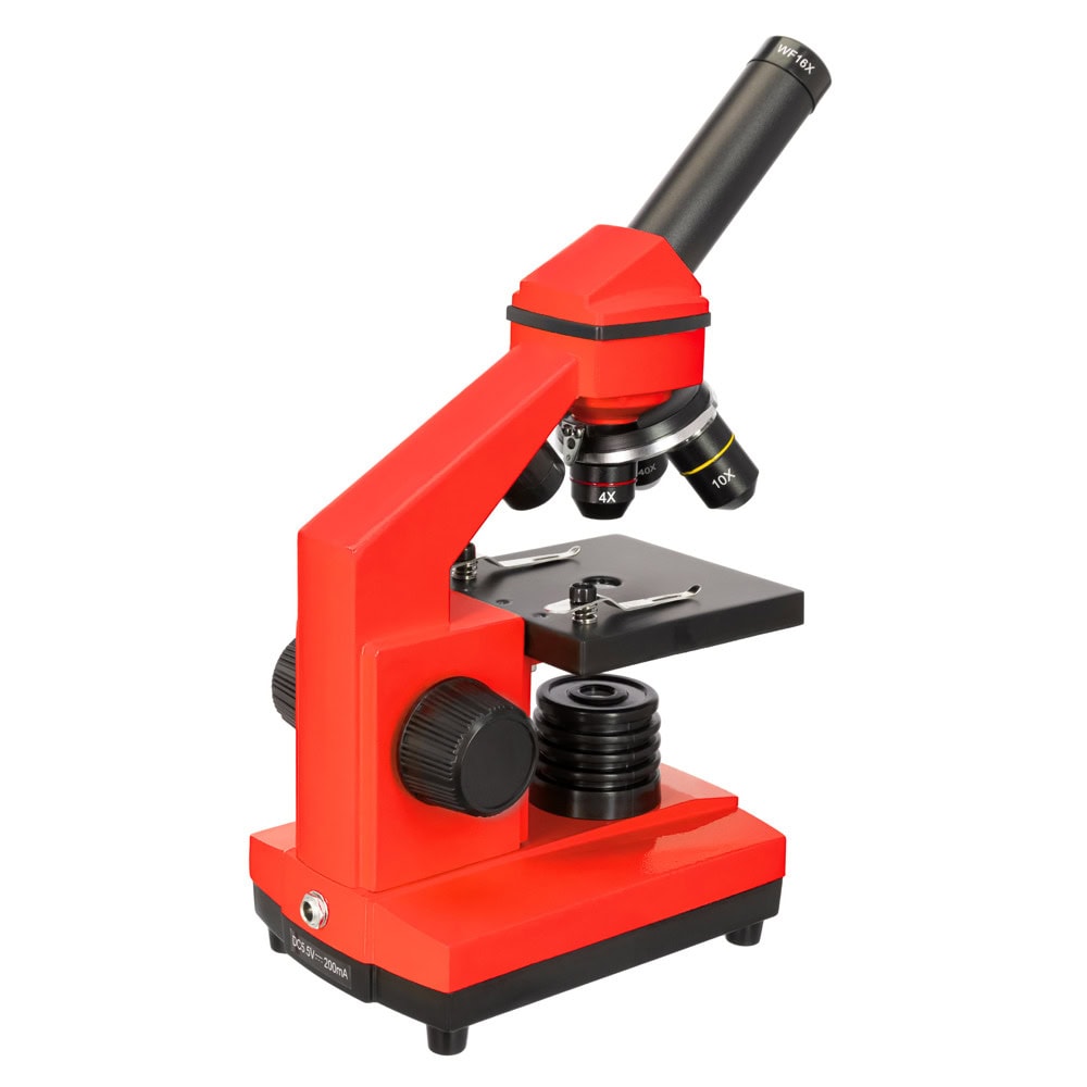 Levenhuk Rainbow 2L PLUS Red LV69121