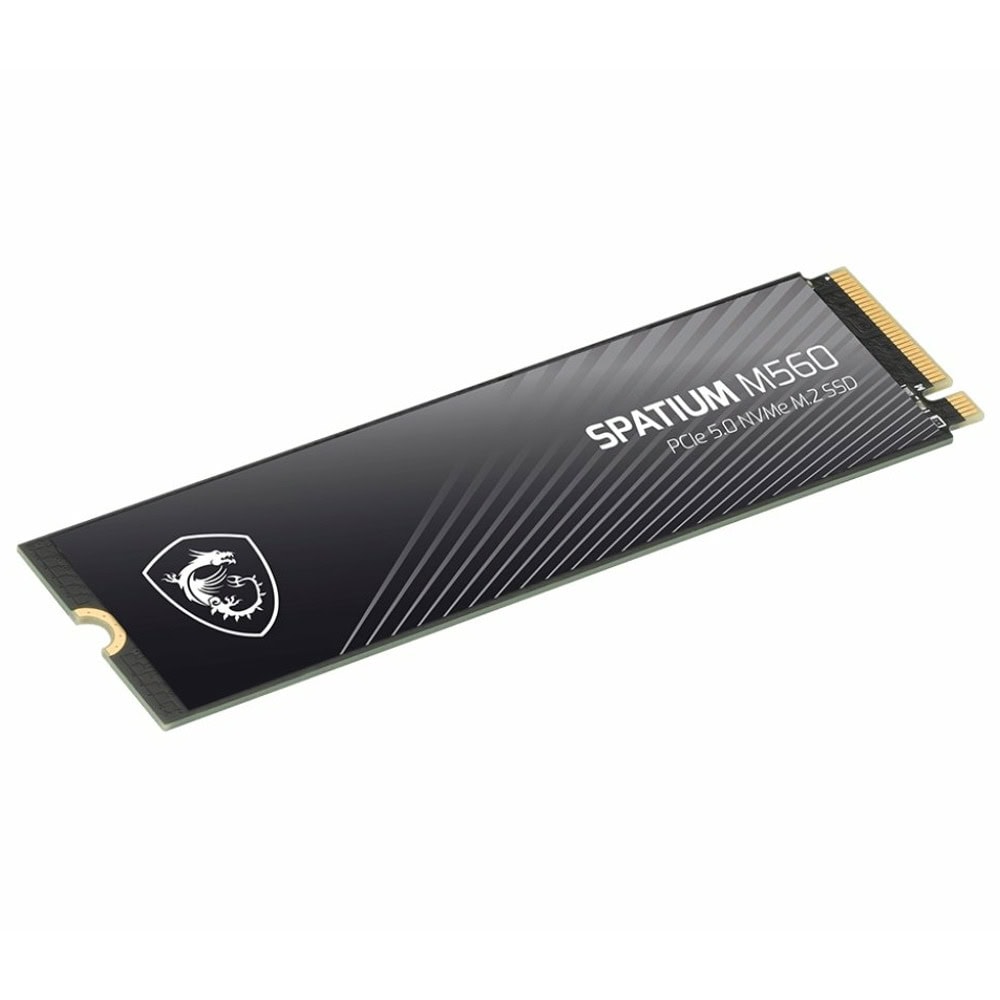 MSI SPATIUM M560 2T PCIE5.0